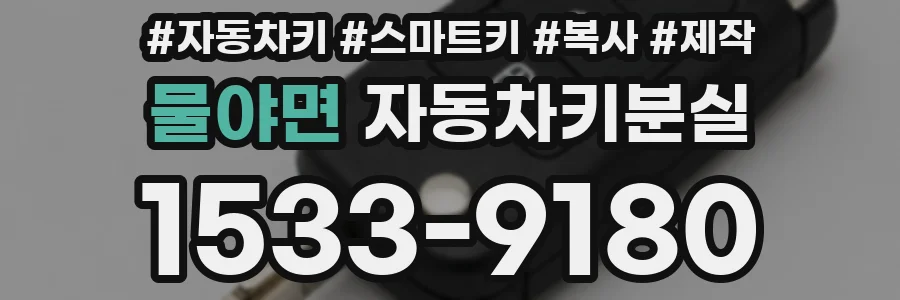 물야면 자동차키분실