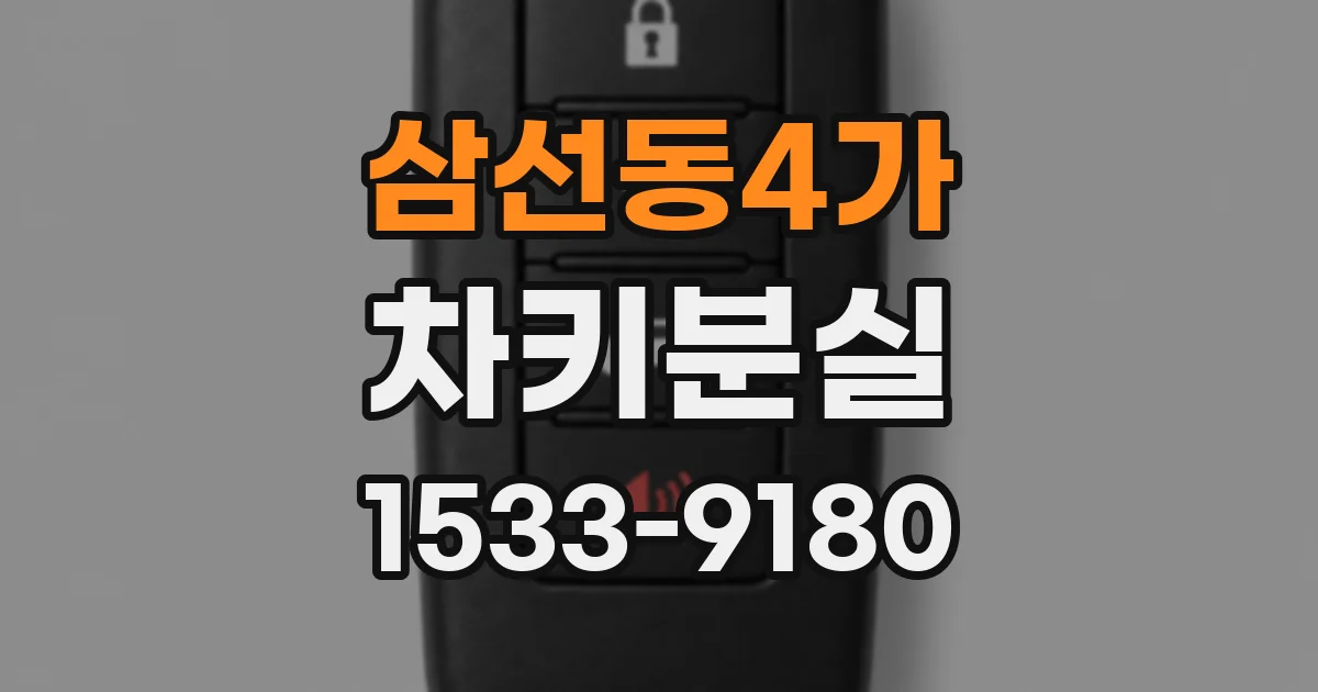 삼선동4가 차키분실