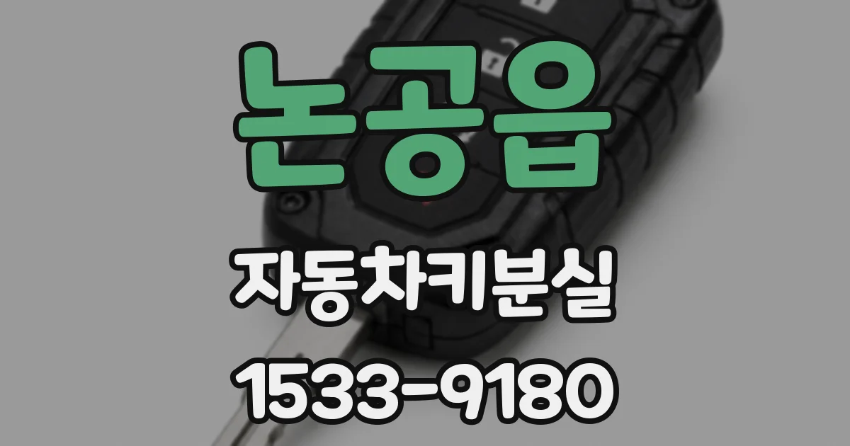 논공읍 자동차키분실