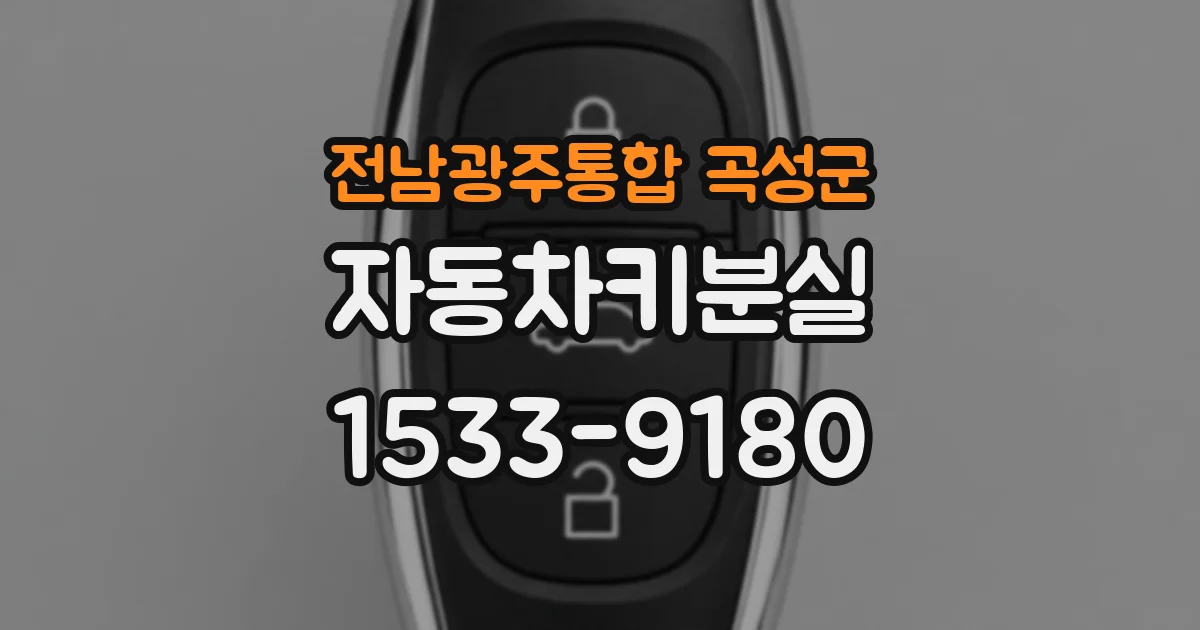 전남광주통합 곡성군 자동차키분실