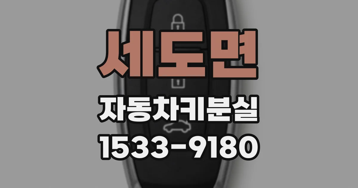 세도면 자동차키분실