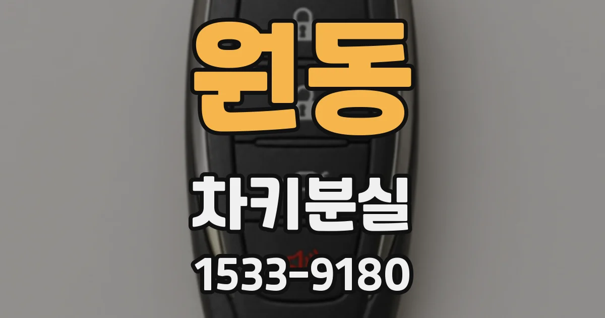 원동 차키분실