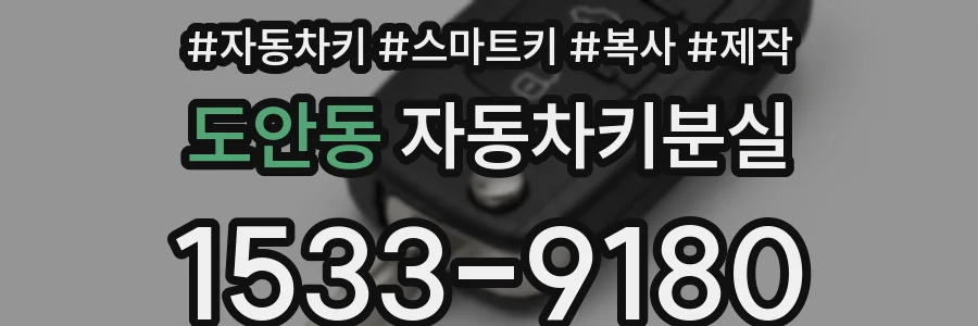 도안동 자동차키분실