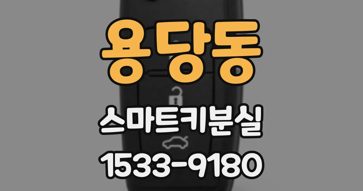 용당동 스마트키분실