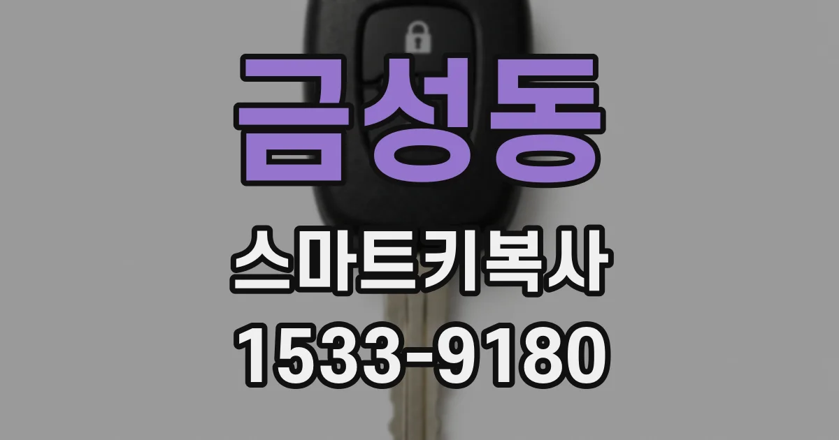 금성동 스마트키복사