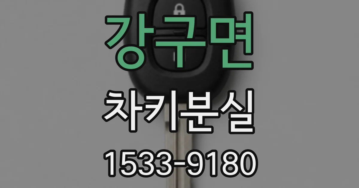 강구면 차키분실