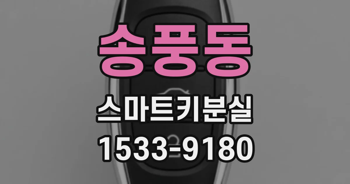 송풍동 스마트키분실
