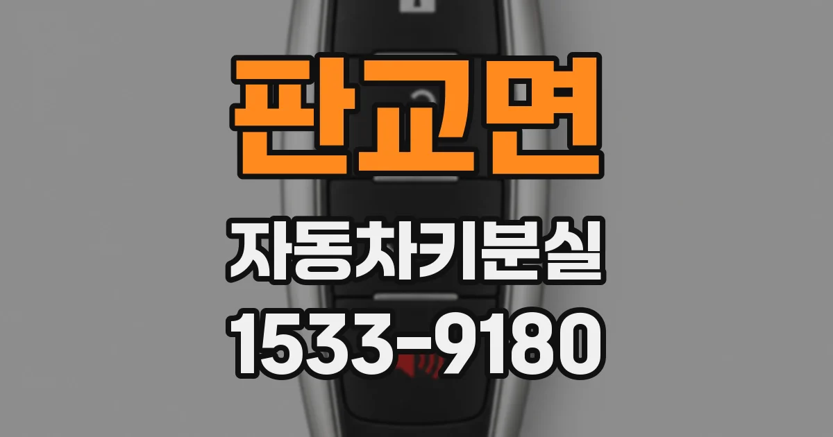 판교면 자동차키분실