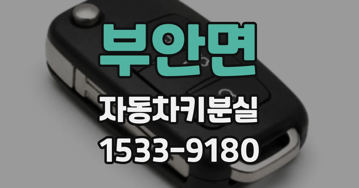 부안면 자동차키분실