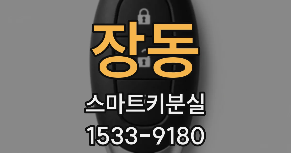 장동 스마트키분실