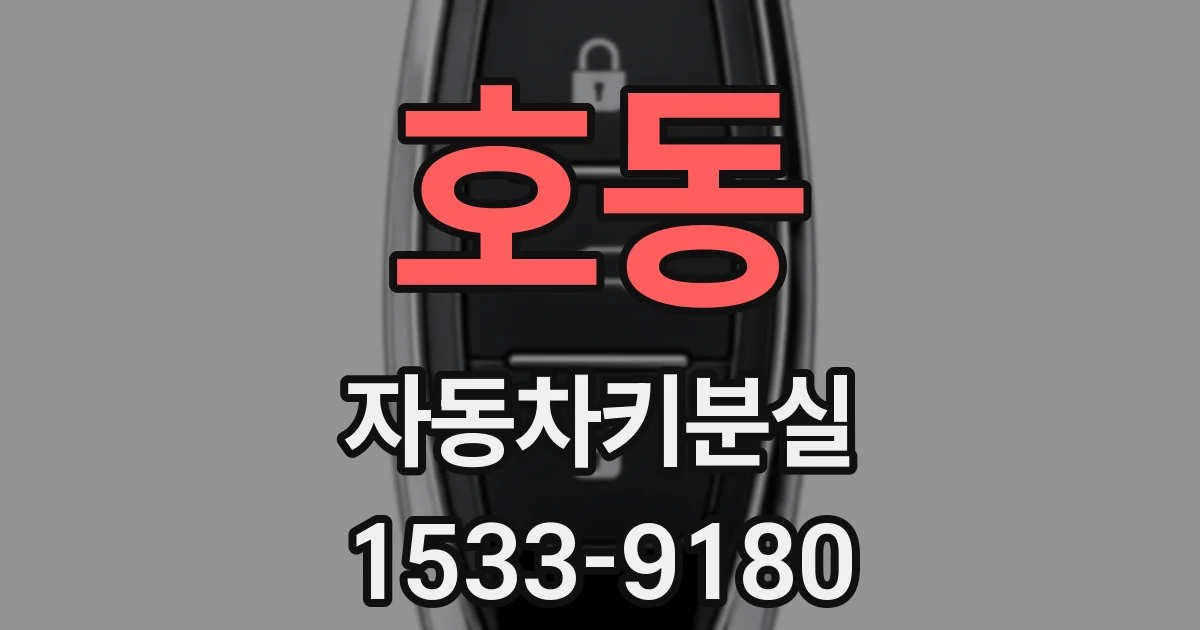 호동 자동차키분실