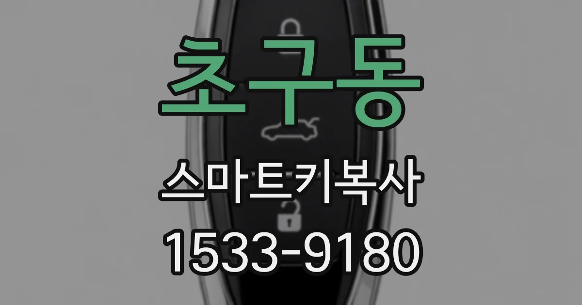 초구동 스마트키복사