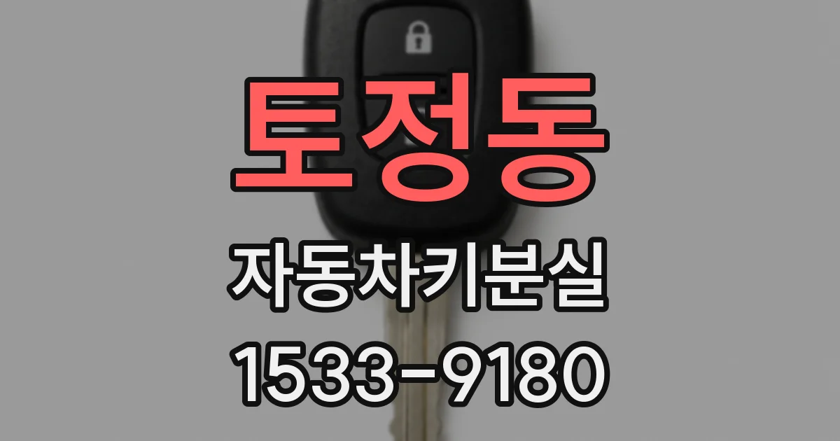 토정동 자동차키분실