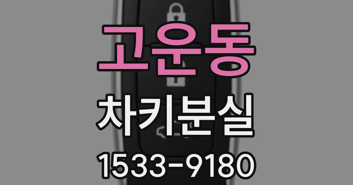 고운동 차키분실