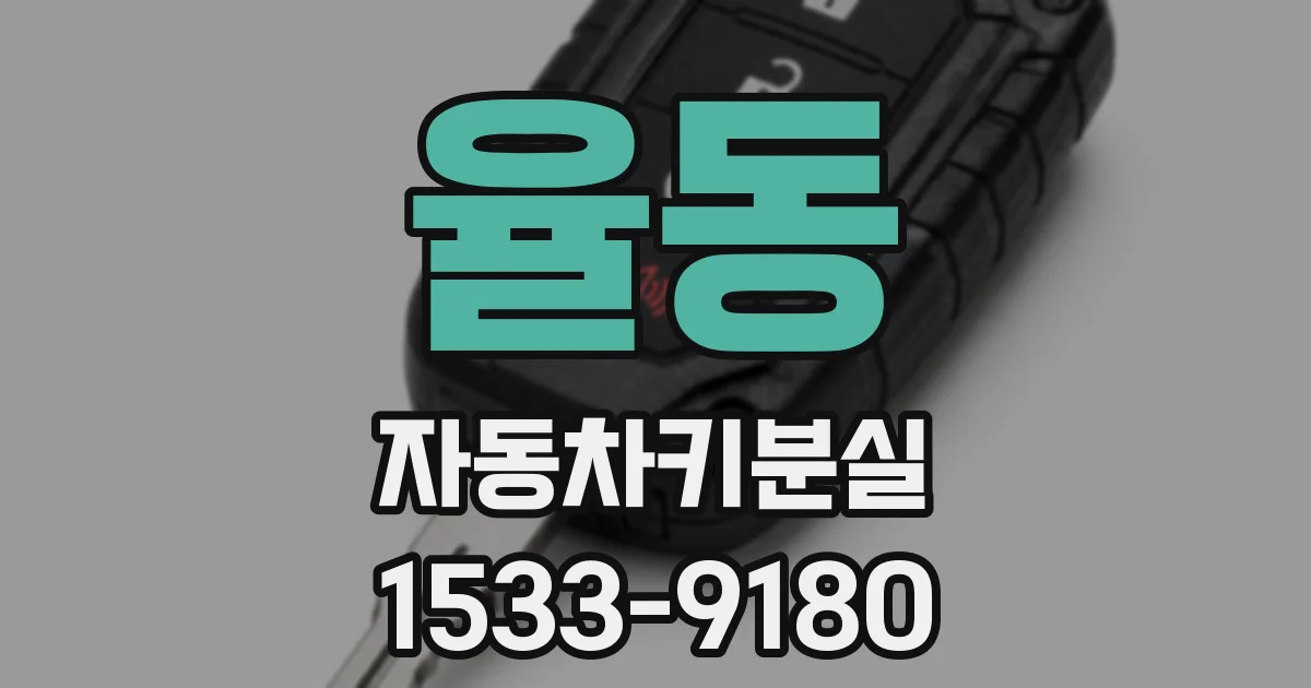 율동 자동차키분실