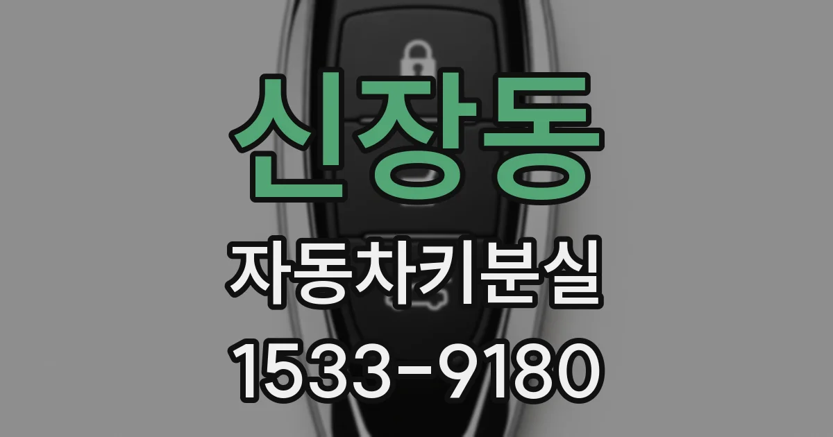 신장동 자동차키분실