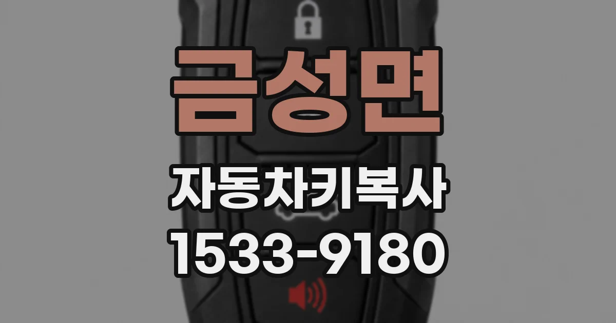 금성면 자동차키복사