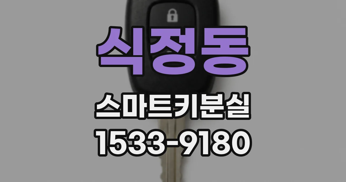 식정동 스마트키분실