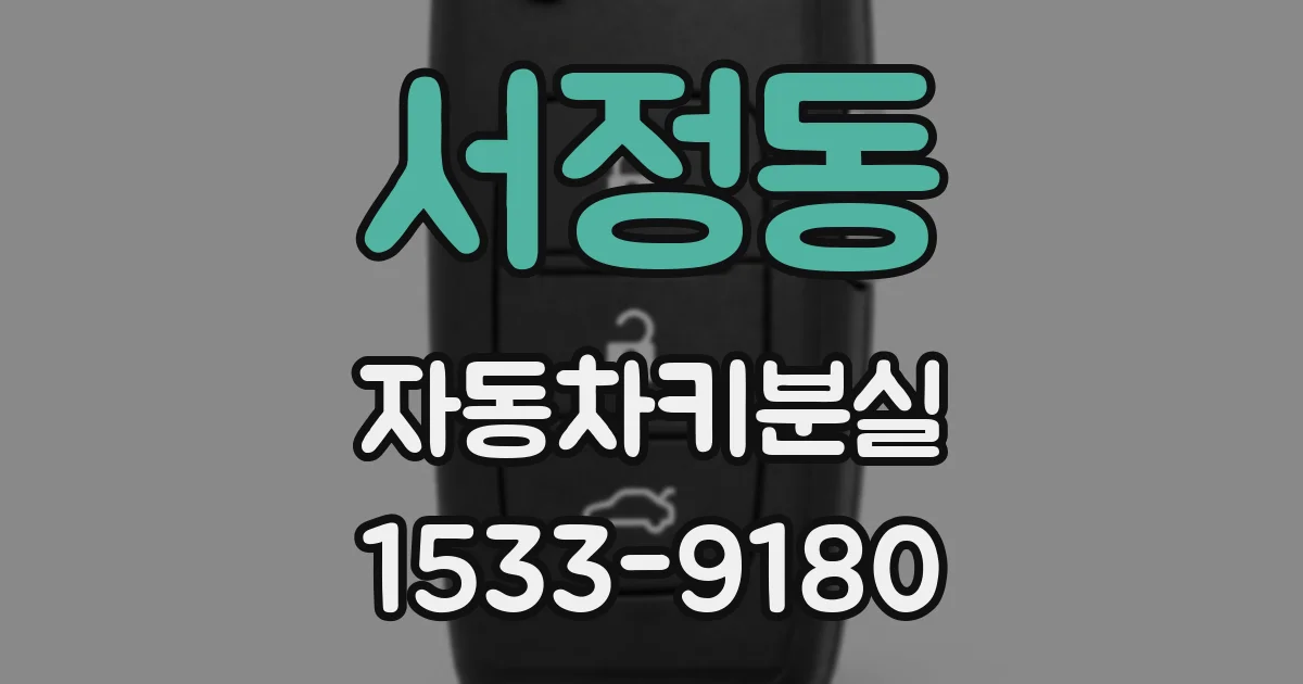 서정동 자동차키분실
