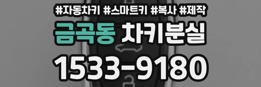 금곡동 차키분실