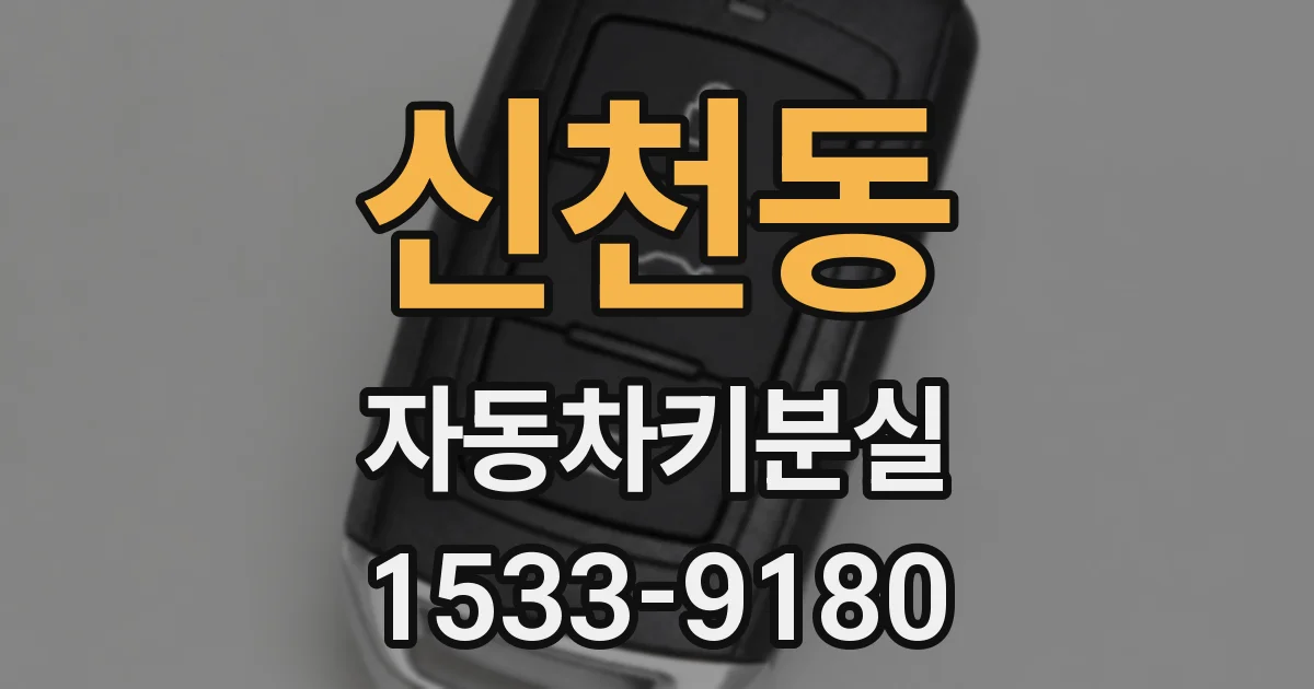 신천동 자동차키분실
