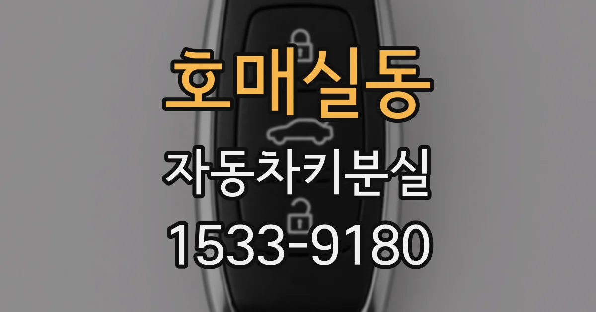 호매실동 자동차키분실