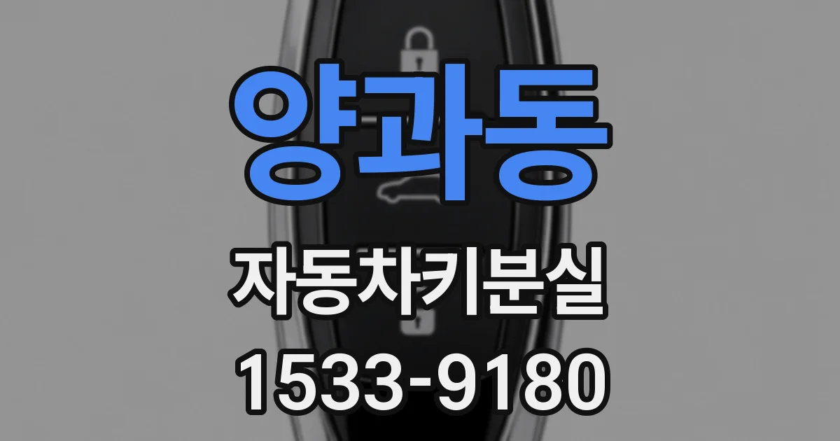 양과동 자동차키분실