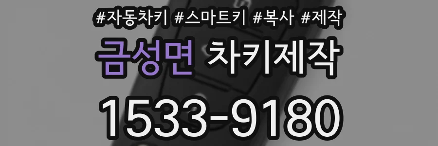 금성면 차키제작