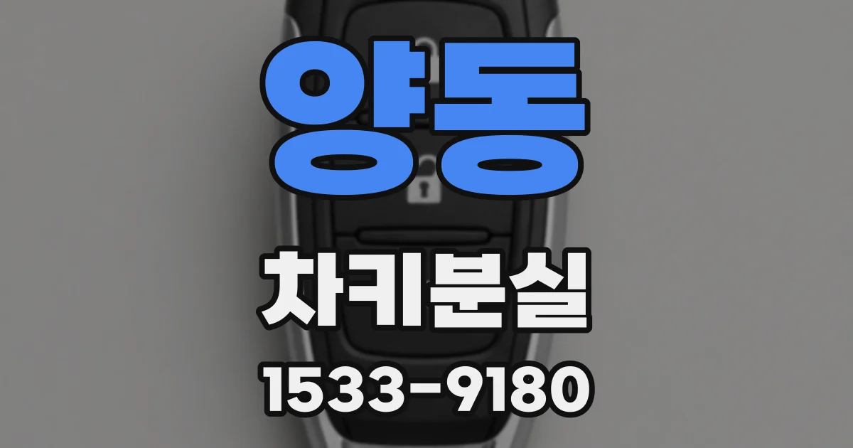 양동 차키분실