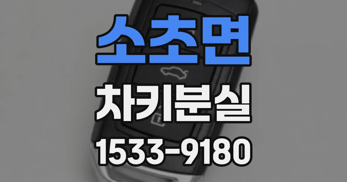 소초면 차키분실
