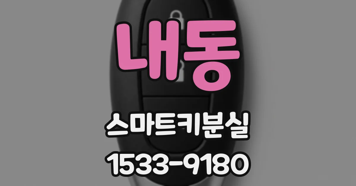 내동 스마트키분실