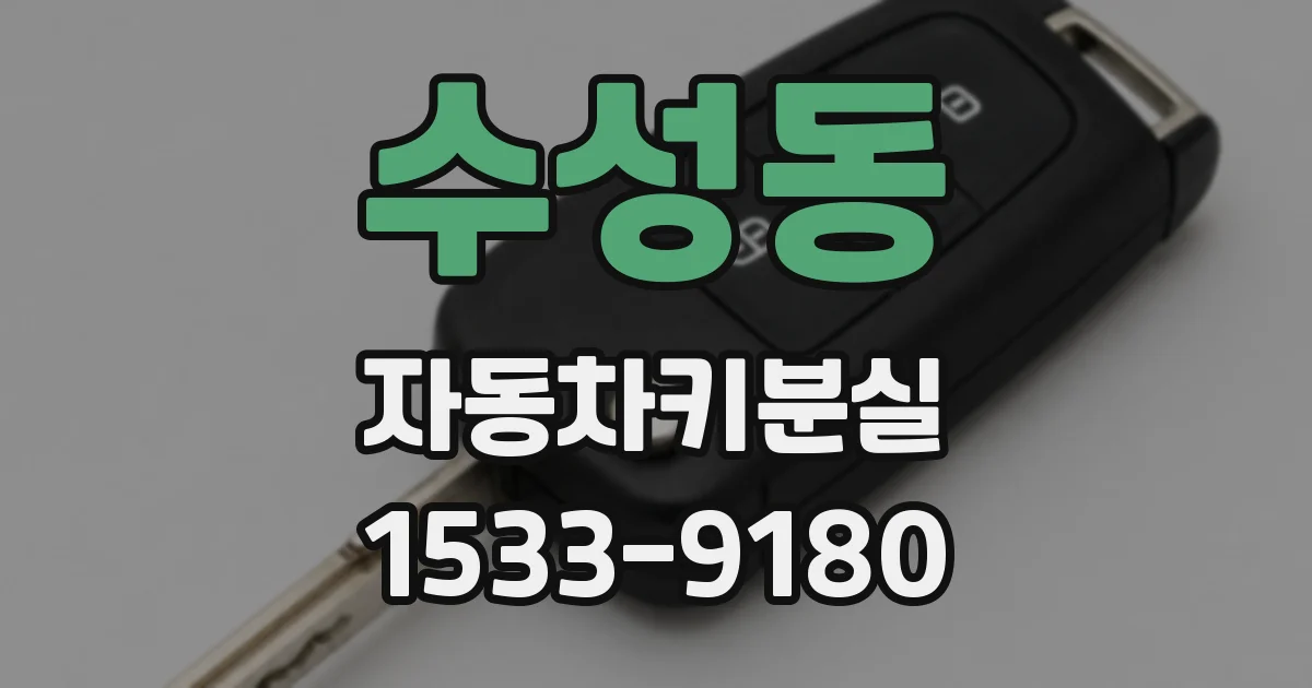 수성동 자동차키분실