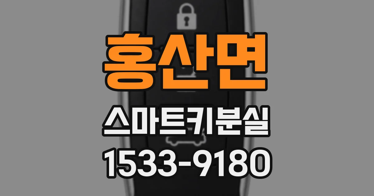 홍산면 스마트키분실