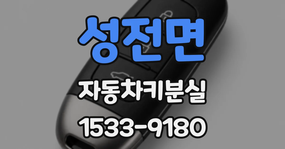 성전면 자동차키분실