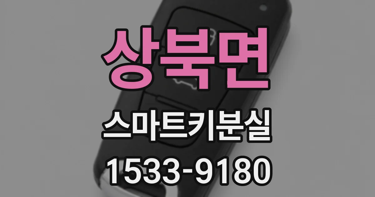 상북면 스마트키분실