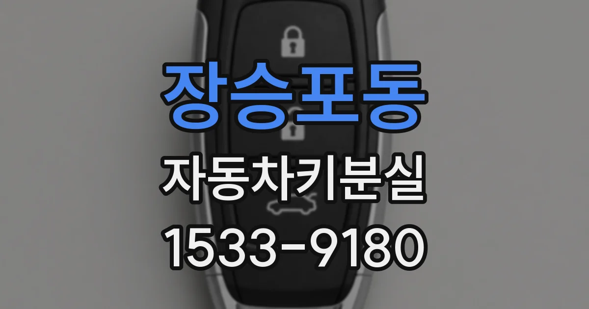 장승포동 자동차키분실