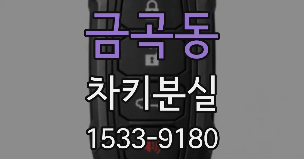 금곡동 차키분실