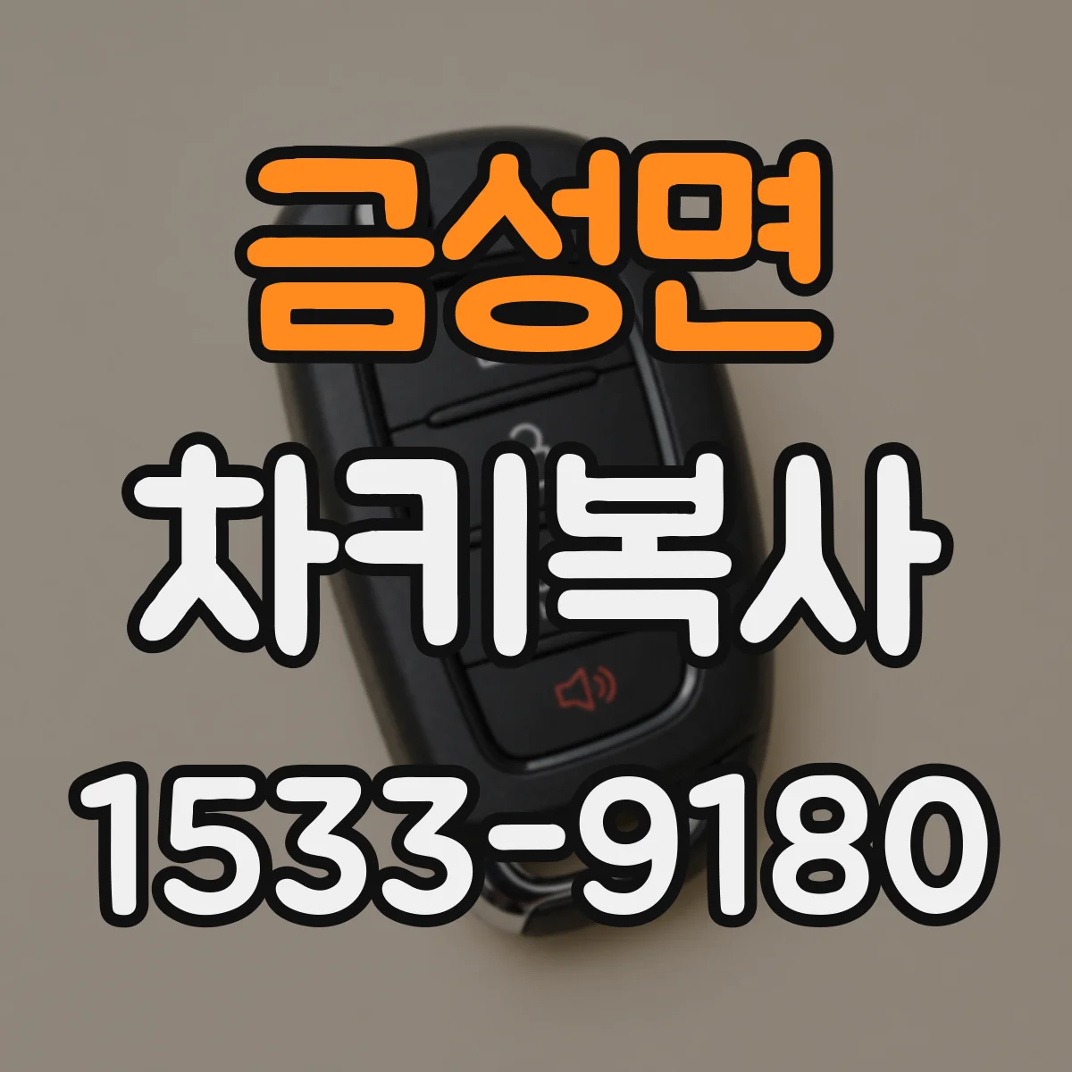 금성면 차키복사