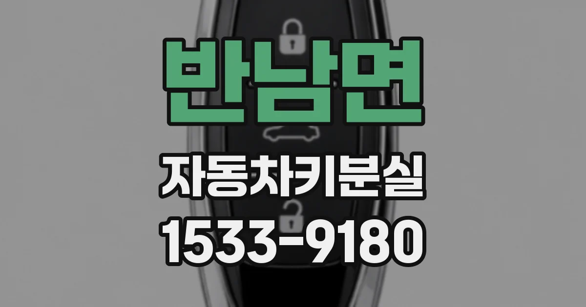 반남면 자동차키분실