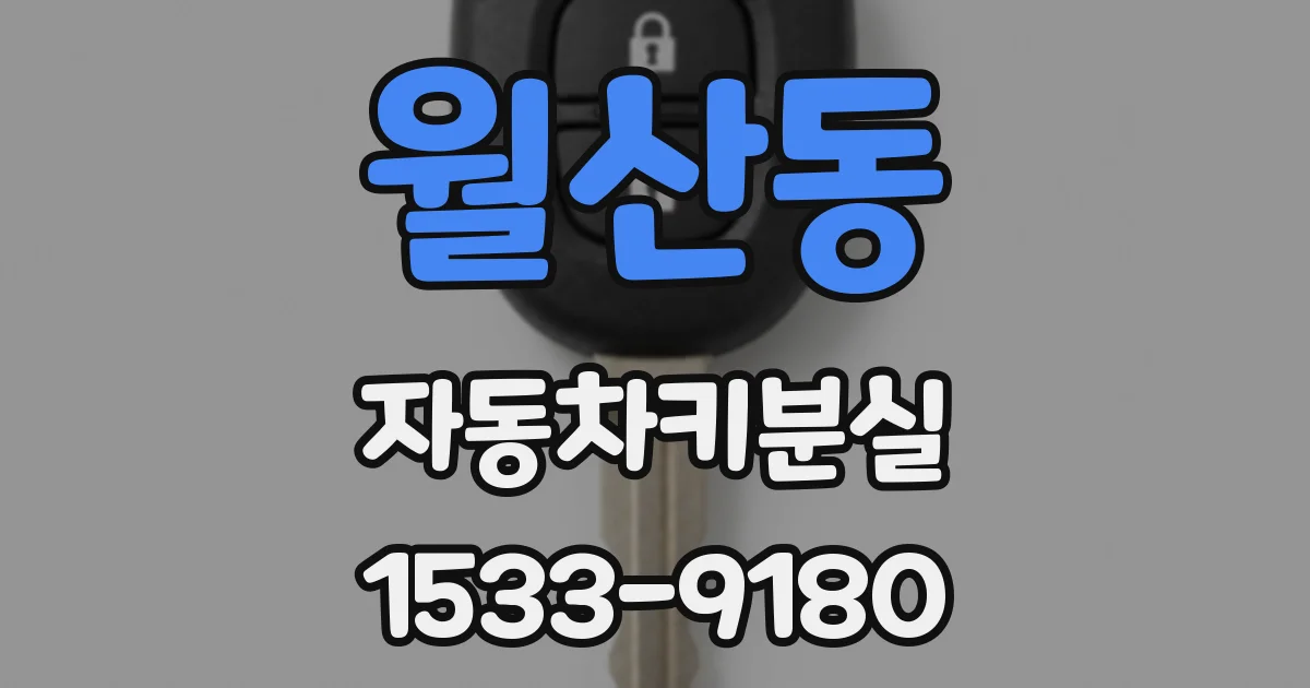 월산동 자동차키분실