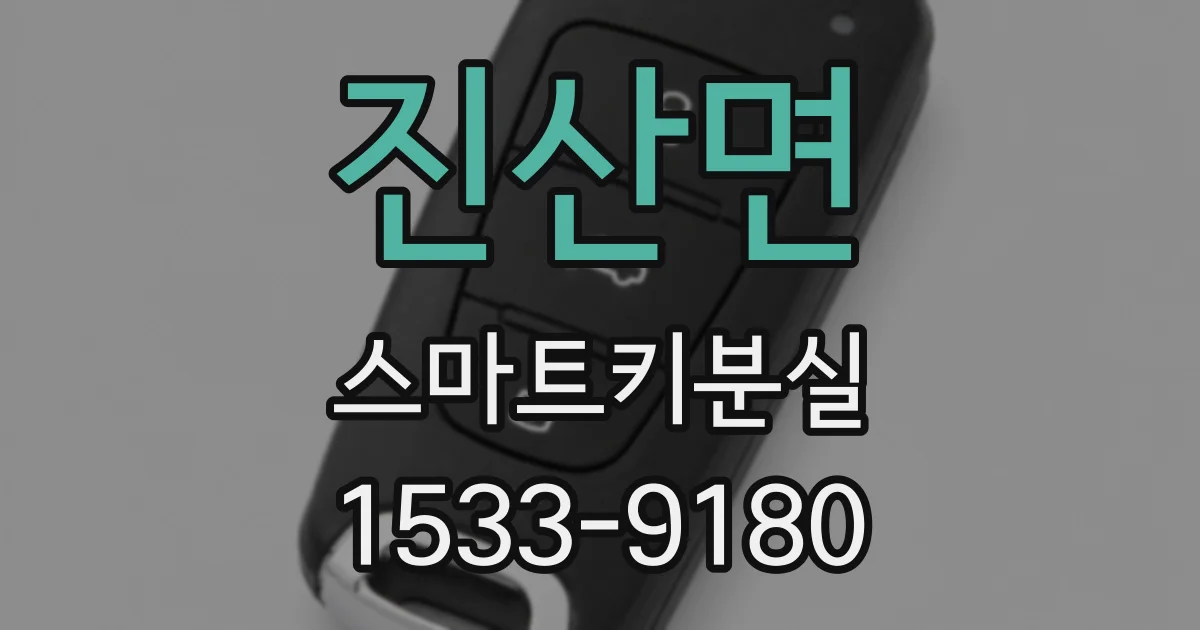 진산면 스마트키분실