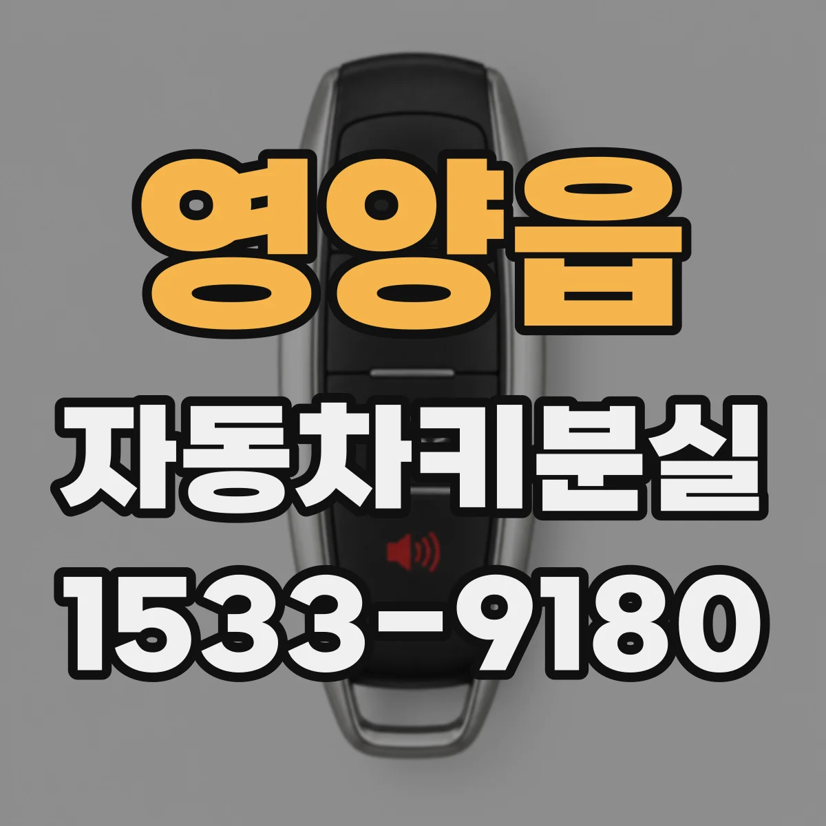영양읍 자동차키분실