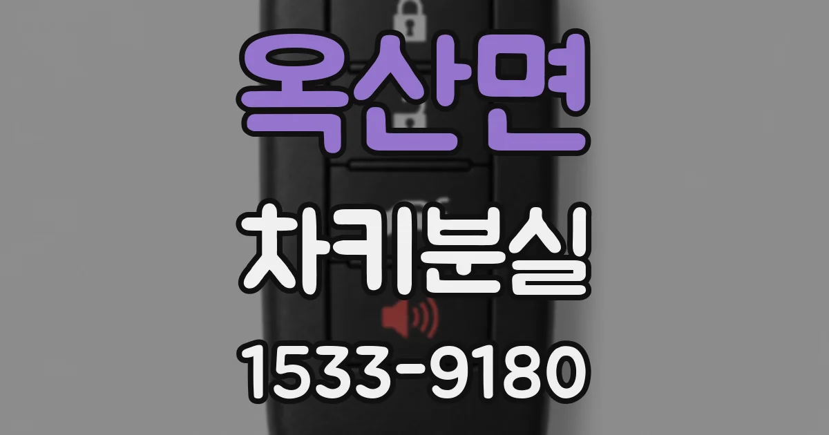 옥산면 차키분실