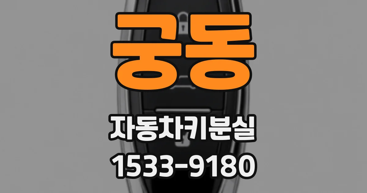 궁동 자동차키분실