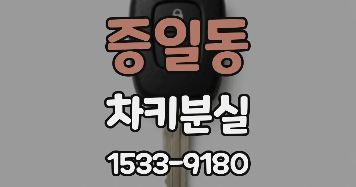 증일동 차키분실