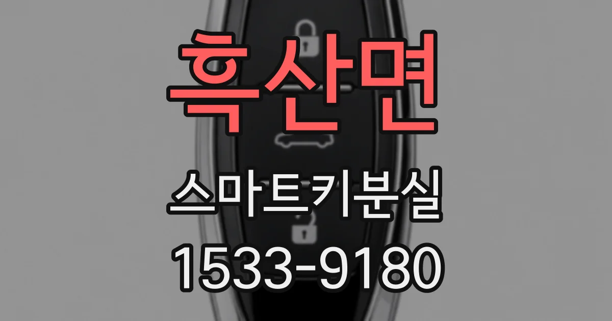 흑산면 스마트키분실