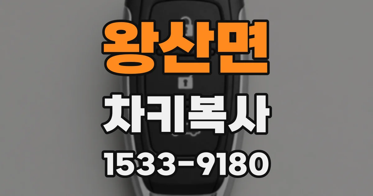 왕산면 차키복사