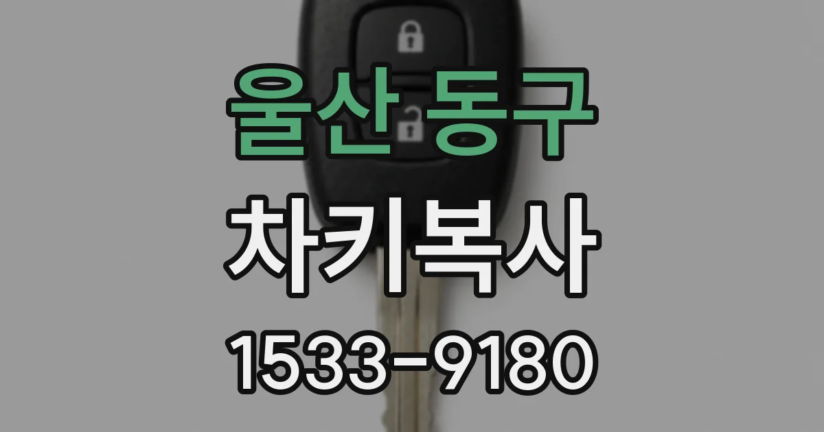울산 동구 차키복사