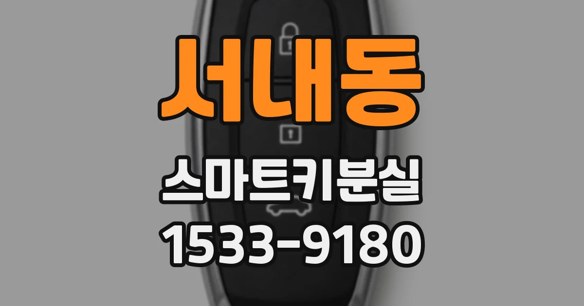 서내동 스마트키분실