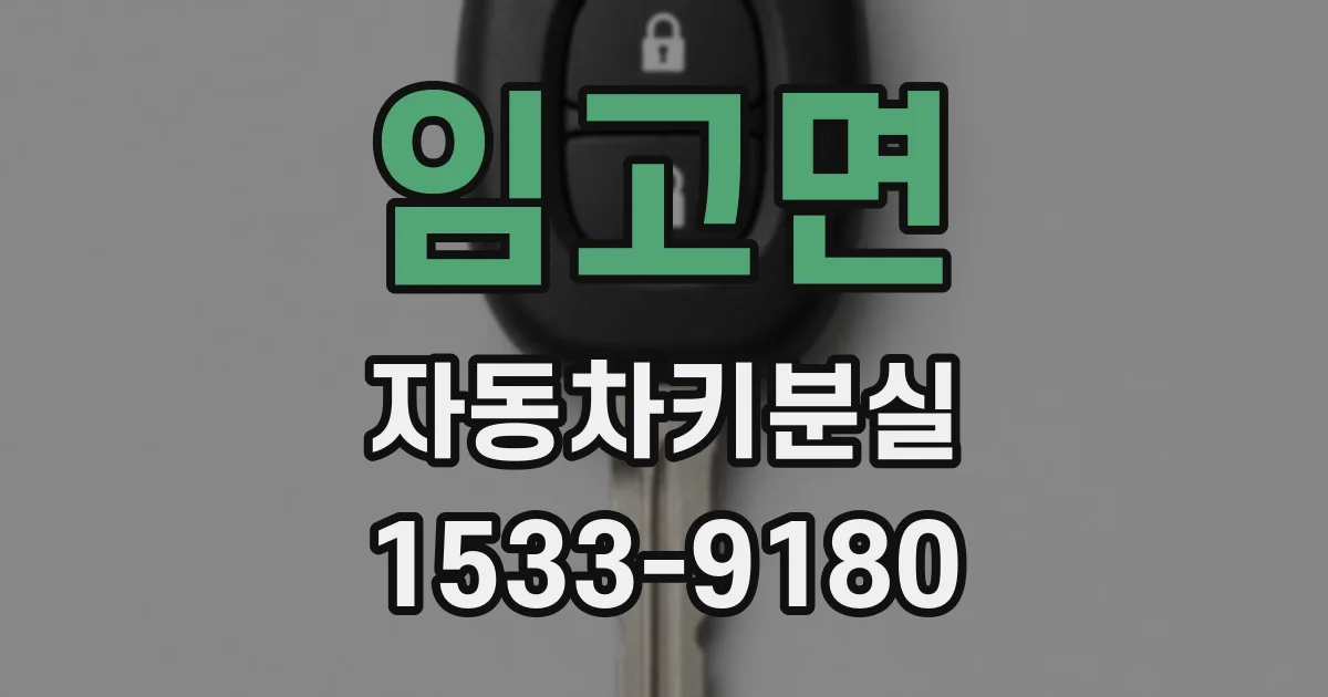 임고면 자동차키분실
